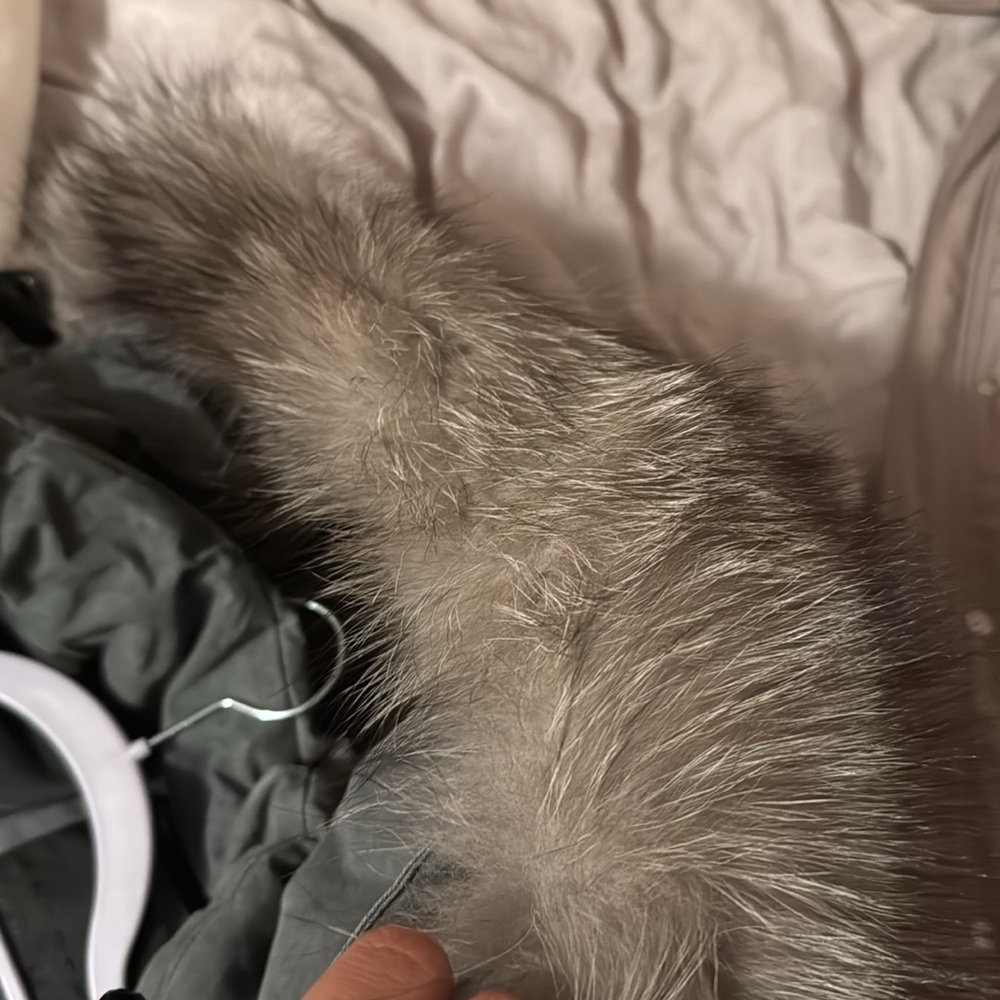 Andrew Marc - Rockland Dark Gray Parka Jacket w/ White Fox Fur Hood - Picture 5 of 6